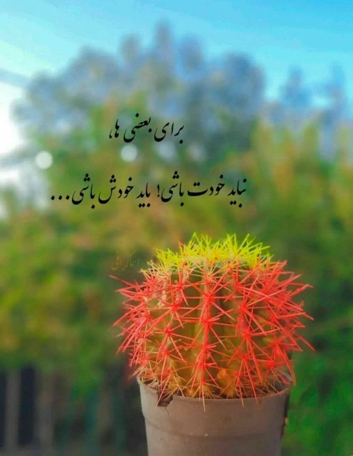 نوشته 🌿