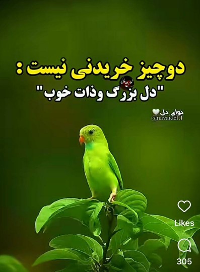 ظهرتون به شادی❤❤🌹🌹