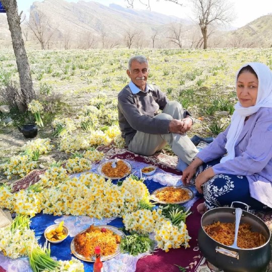 نرگسزارِ کازرون،فارس..