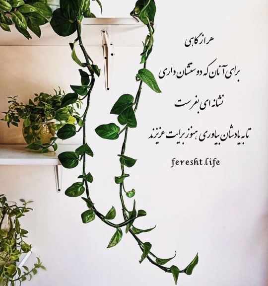 خیلی زود دیر میشه 🌹🌿