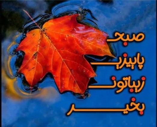 ســـلام🌺
صبحتون بخیر و نیکی ☕️🌺