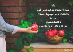 یلدا یعنی...🌻🦋