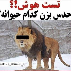 تست هوش!!امشب 1 دقیقه بیشتر وقت دارید حدس بزنید🤣🤣🤣🤣