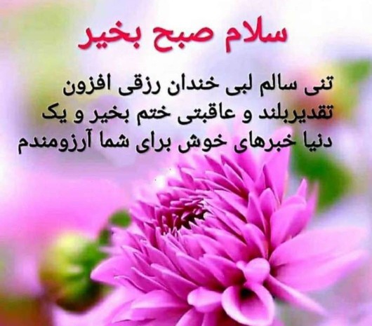 ادینتون سپید 