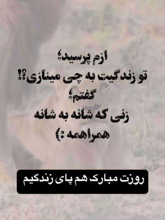 به چی مینازی...