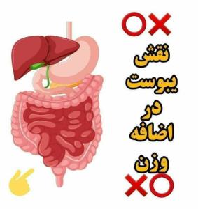 ⭕❌ نقش یبوست در اضافه وزن ❌⭕

یکی از وظایف چربی ها در بدن ما