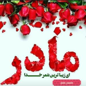 🌹درشب ولادت حضرت زهرا(سلام الله علیها) 
🌼ضمن تبریک وعرض ار