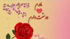 مادر عزیزم درآسمان هاهستی روزت مبارک  ❤️❤️❤️❤️❤️❤️❤️❤️❤️🌼🌼