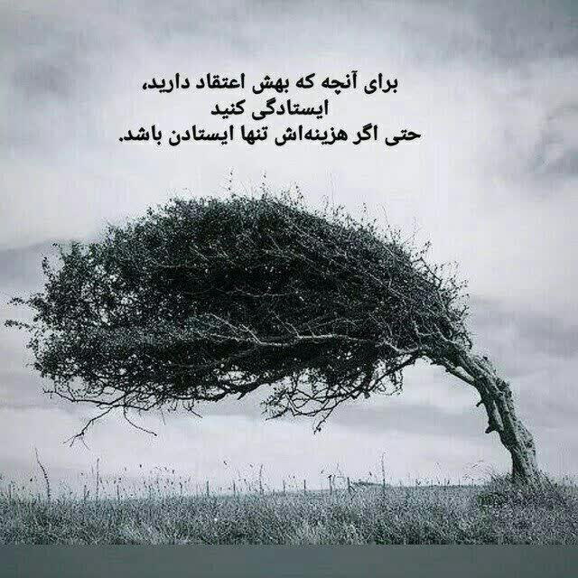 سلام‌‌‌..شبتون امام زمانی🙏