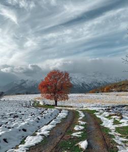 اوج زیبایی سه فصل در یک تصویر......