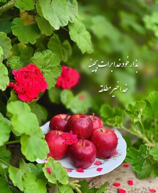 خدا خیر مطلقه....🍀