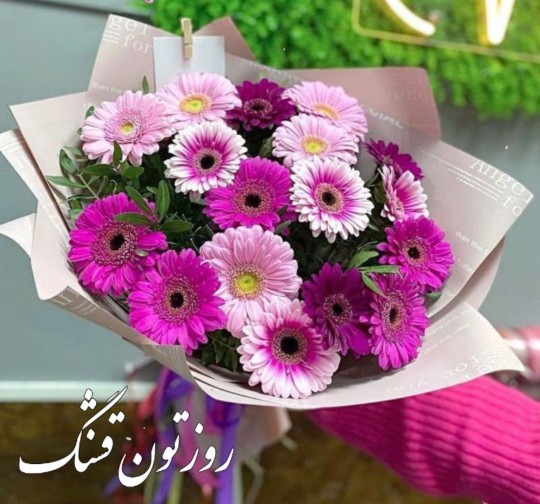 امروزتون قشنگ🌺❤️🦋🍁🌸