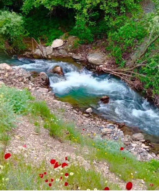 سلام ظهر همگی بخیر 