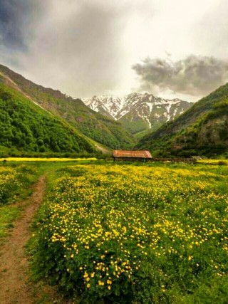 در مَردها حسی هست که
اسمشو میذارن غیرت ...
