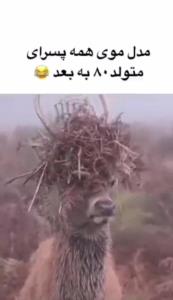 مدل موی پسرای متولد ۸۰😅😅😅