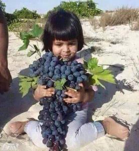 *🍇به این میگن انگووووووور😃😍👌*