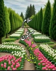 صبحتون به این زیبایی🌺🌺🌺