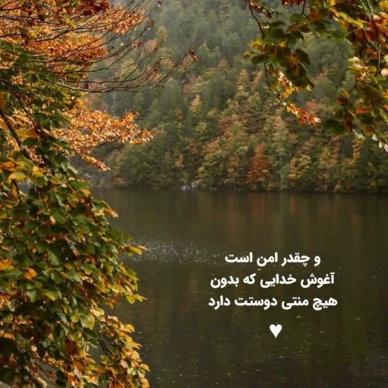 شب بخیر