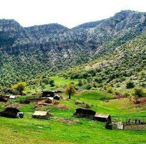 ظهرتون به شادی❤🌿🌿🌿