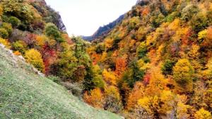 رابطه ایی زیبا است که شما بتوانید 
خودتان باشید، 