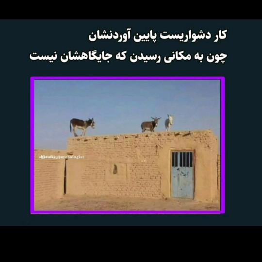 🤔🤔واقعن کار خیلی دشواریست 🤔🤔