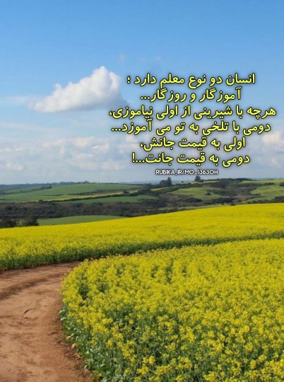 انسان دو‌ نوع معلم دارد 