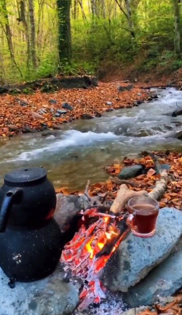 چایی آوردم واستون 