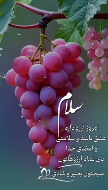 سلام صبحتون بخیر و نیکی ☕🌸🌺