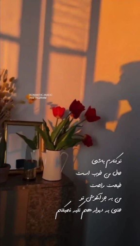 همسر عزیزم عاشقتم