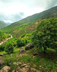 به این تصویر چه نمره ای میدین ۱ تا ۱۰