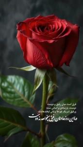 در این روزها 🌹🌹🌹