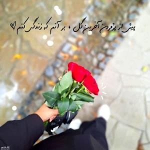 ✨️

پیش از پژمردن آخرین گل
برآنم که زندگی کنم♡

