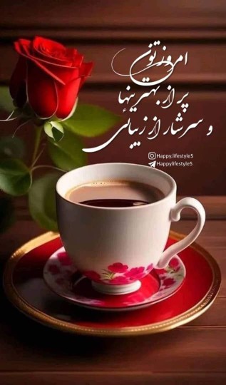 سلام صبح تون بهترین🌹🌼🎀🌼🌹