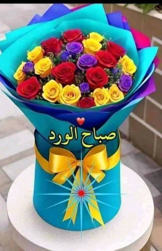 سلام روزبخیر🌻🌻🌻🌻🌻🌻🌻🌻🌻🌻🌻🌻