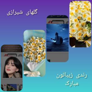 تقدیم به آوا گلی ⚘️و ستاره جون⚘️