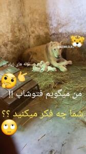 شما چه فکر می کنید !؟؟🙄