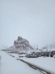 عقاب کوه برفی😍❄️