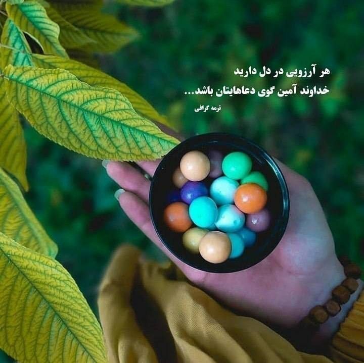 آمین ⚘️ 