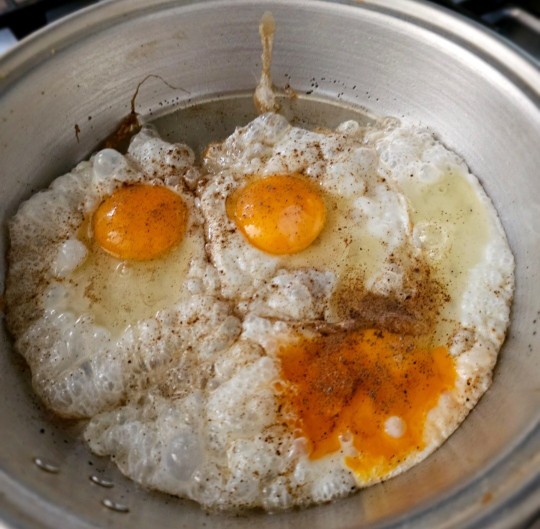 اوج هنر شرمنی تو آشپزی🔥🥚🍳🫠🤩🧡