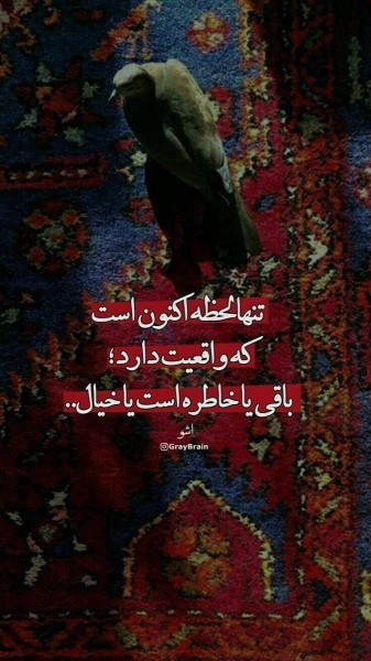 همین الان دریاب آن چیزی را که باید دریابی...