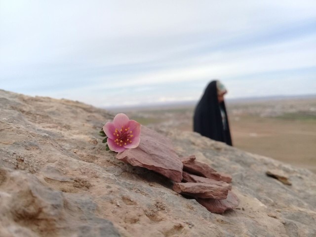 چادرم را دوست دارم...🌸