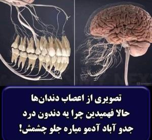 حالا چی میشد دندونمون مث خودمون بی اعصاب بود😏