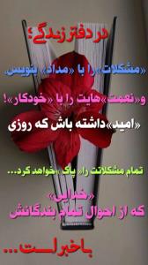 خدایا شکرت که هستی 🌹🌷🖤