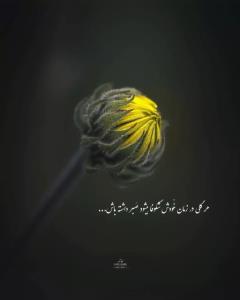 هر گلی در زمان خودش...