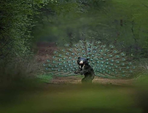 🌎تصویری که در بهترین مکان و زمان گرفته شده...!!!
