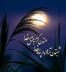 شب زیباتون بخیر🙏🙏