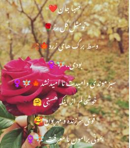 ۱۱۱شدی صبا گلی🤗🧚🏼‍♀️ تقدیم نگاهت 🥰 مهربونم 🤗🧚🏼‍♀️