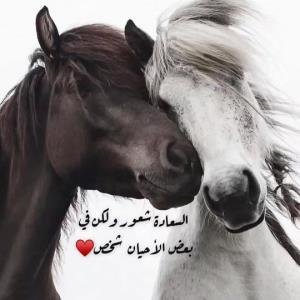 سعیده الحض لاَنک اِنته حبیبی❤️❤️سامی❤️❤️