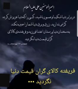 نصیحت ناب