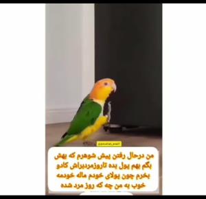 راس میگه خو ب من چه روز مردشده،🤭😂😂😂😂